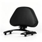 PANICAL Honda Gold Wing GL1800 F6B passenger backrest