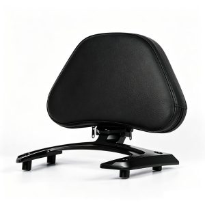 PANICAL Honda Gold Wing GL1800 F6B passenger backrest