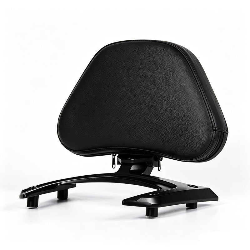DS20200604-1 PANICAL Honda Gold Wing GL1800 F6B passenger backrest