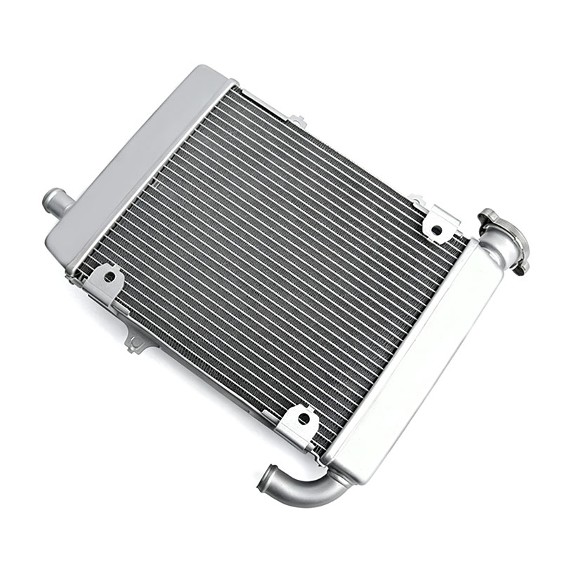 DS20201204-B-1 PANICAL Gold Wing GL1800 F6B Tour right radiator 2018-2026